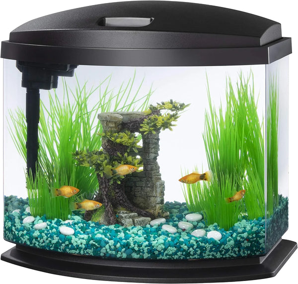 2025 Aqueon LED MiniBow Small Aquarium Fish Tank Kit with SmartClean Technology, Black, 5 Gallon