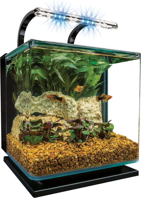 2025 Marineland Contour 3 Aquarium Kit 3 Gallons, Rounded Glass Corners, Includes LED Lighting