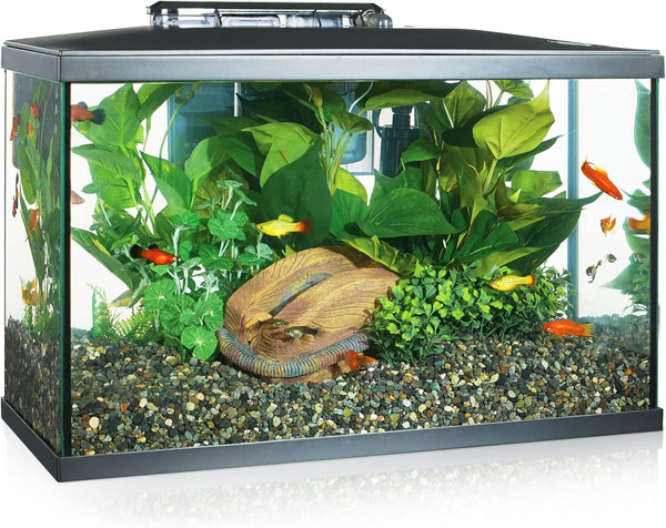 2025 Marina LED Aquarium Kit, 10 gallon